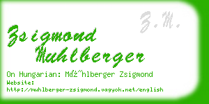 zsigmond muhlberger business card